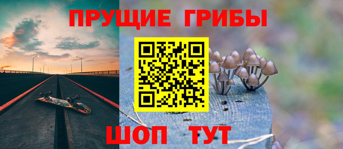 Казань  Псилоцибиновые грибы MAGIC MUSHROOMS  Вход с VPN 